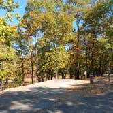 Review photo of Daisy State Park Campground by Alice S., October 19, 2024