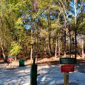 Review photo of Daisy State Park Campground by Alice S., October 19, 2024