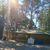 Review photo of Daisy State Park Campground by Alice S., October 19, 2024