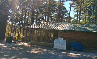 Alice S.'s photo of glamping accommodations at Daisy State Park Campground near Gillham, AR