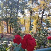 Review photo of Daisy State Park Campground by Alice S., October 19, 2024