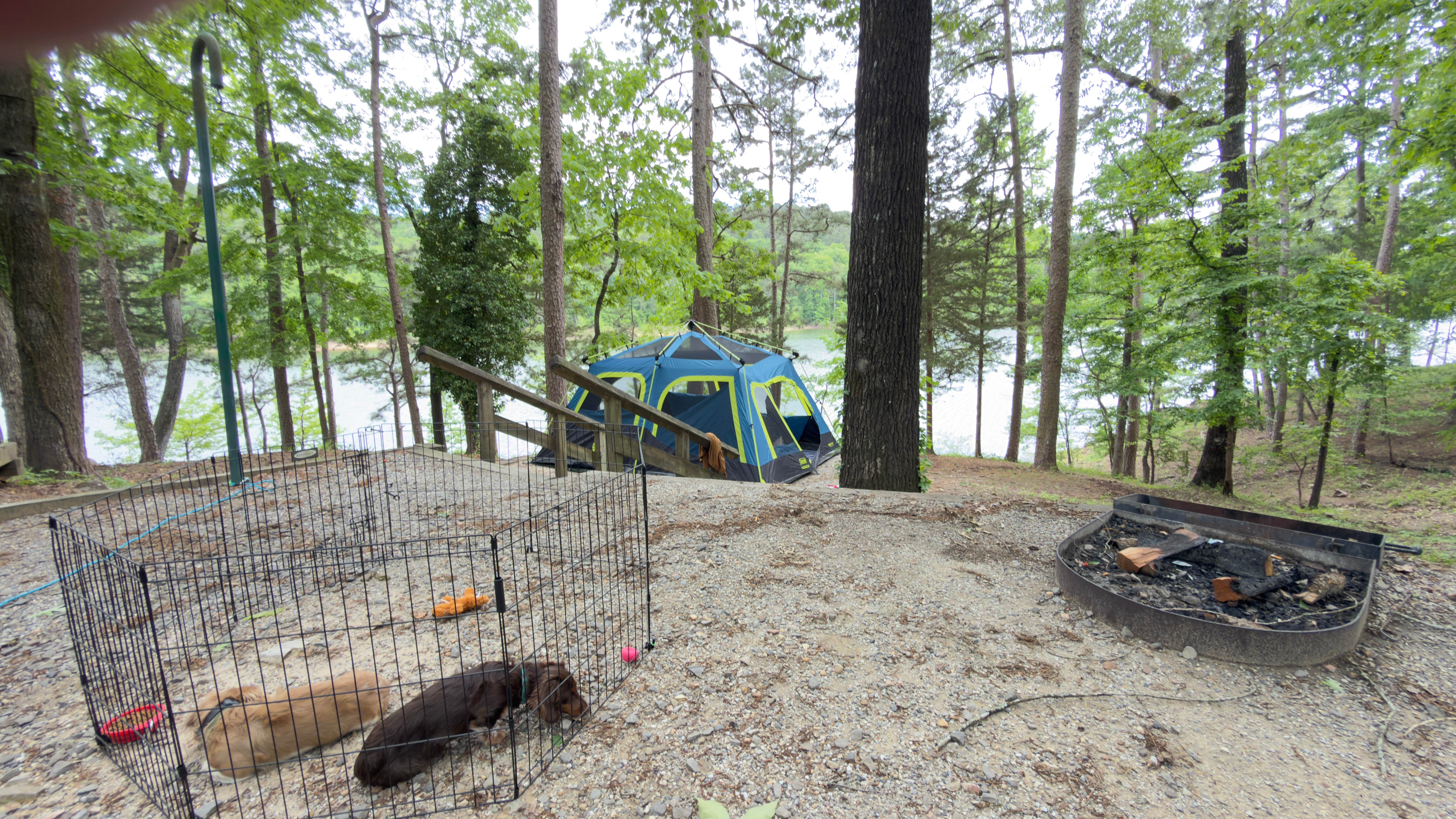 Bryan M.'s photo at Daisy State Park Campground near Nashville, AR