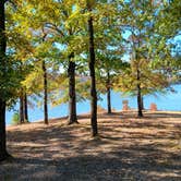 Review photo of Daisy State Park Campground by Alice S., October 19, 2024