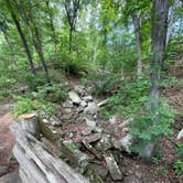Review photo of Devil's Den State Park Campground by Brian K., June 1, 2026
