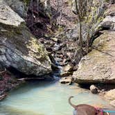 Review photo of Devil's Den State Park Campground by Jennifer O., March 17, 2024