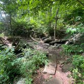 Review photo of Devil's Den State Park Campground by Brian K., June 1, 2026