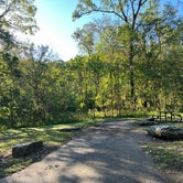 Review photo of Devil's Den State Park Campground by Devin B., October 13, 2023