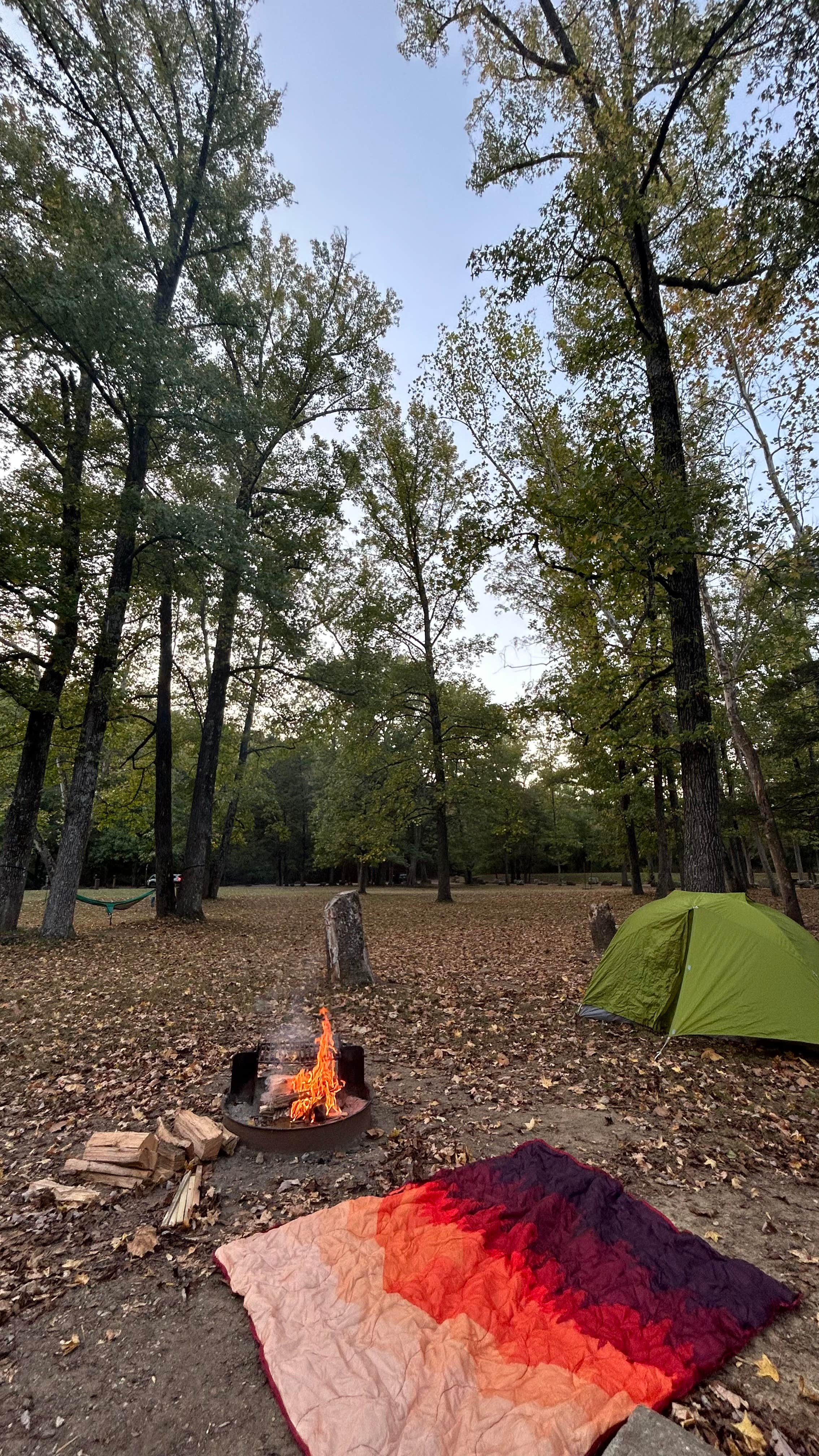 Darbydarby D.'s photo at Devil's Den State Park Campground near West Fork, AR