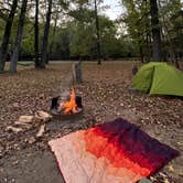 Review photo of Devil's Den State Park Campground by Darby D., January 29, 2025