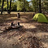 Review photo of Devil's Den State Park Campground by Darby D., January 29, 2025