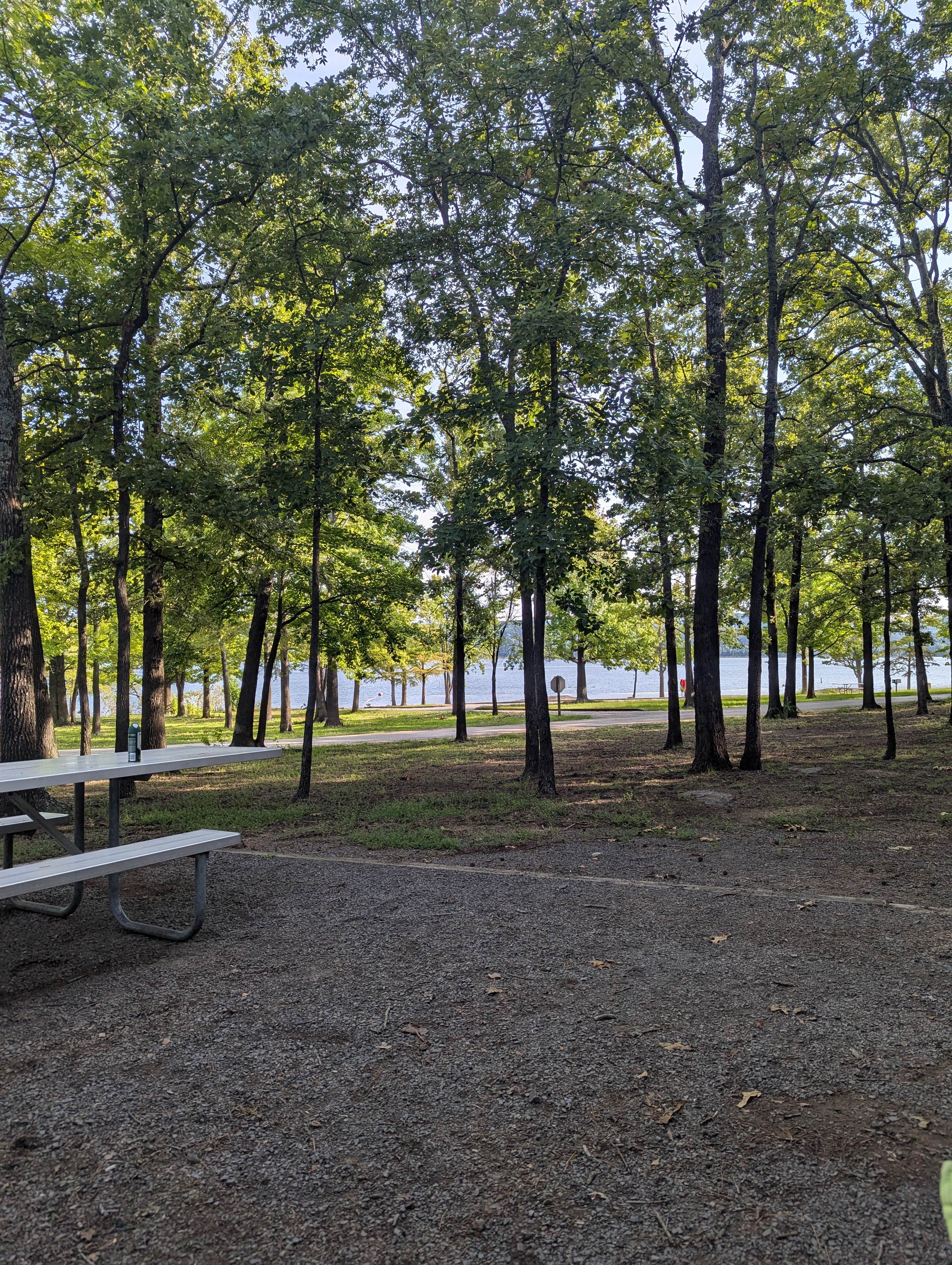 Camper-submitted photo at Devils Fork near Greers Ferry Lake
