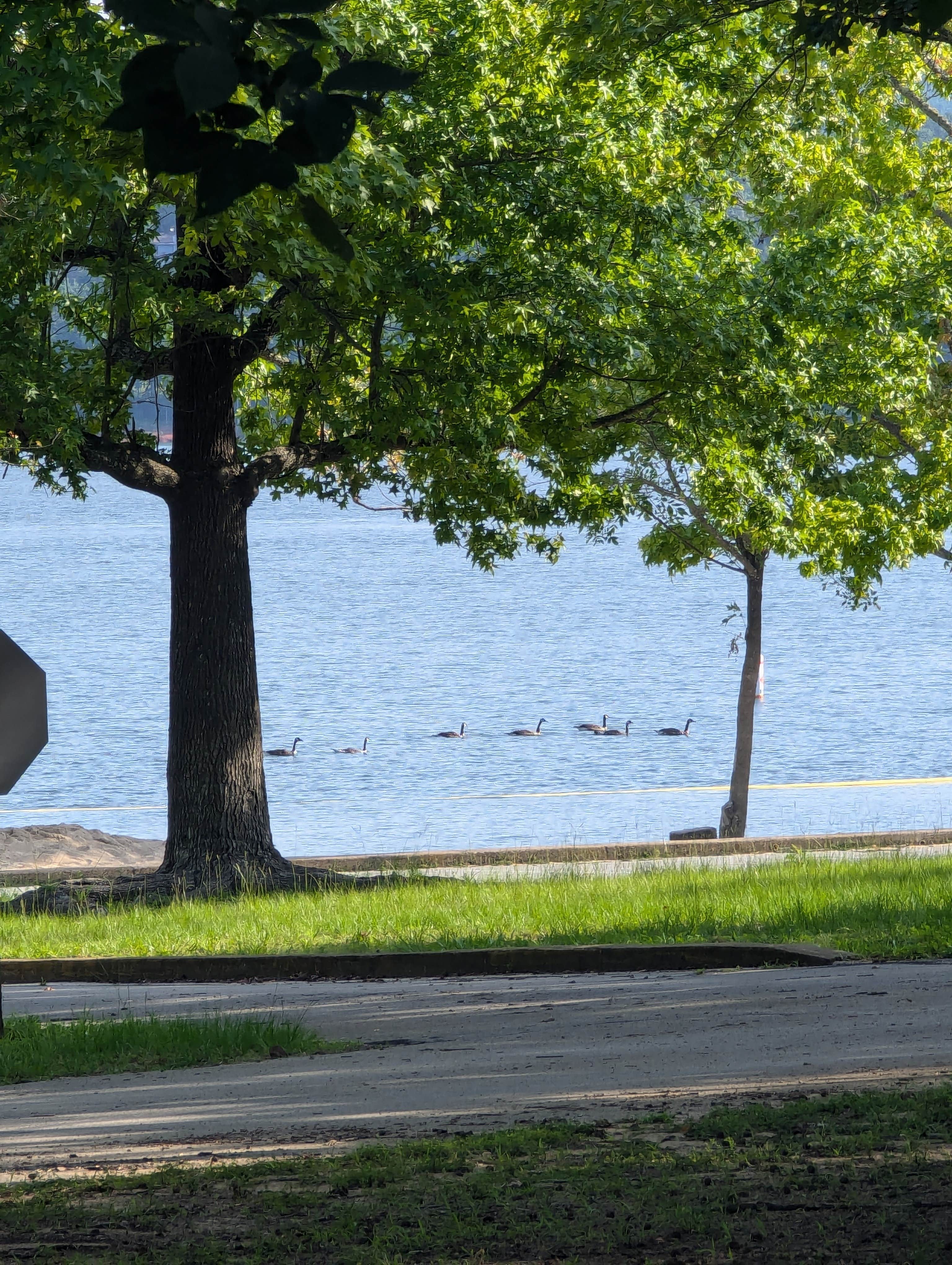 Camper submitted image from Devils Fork - 5