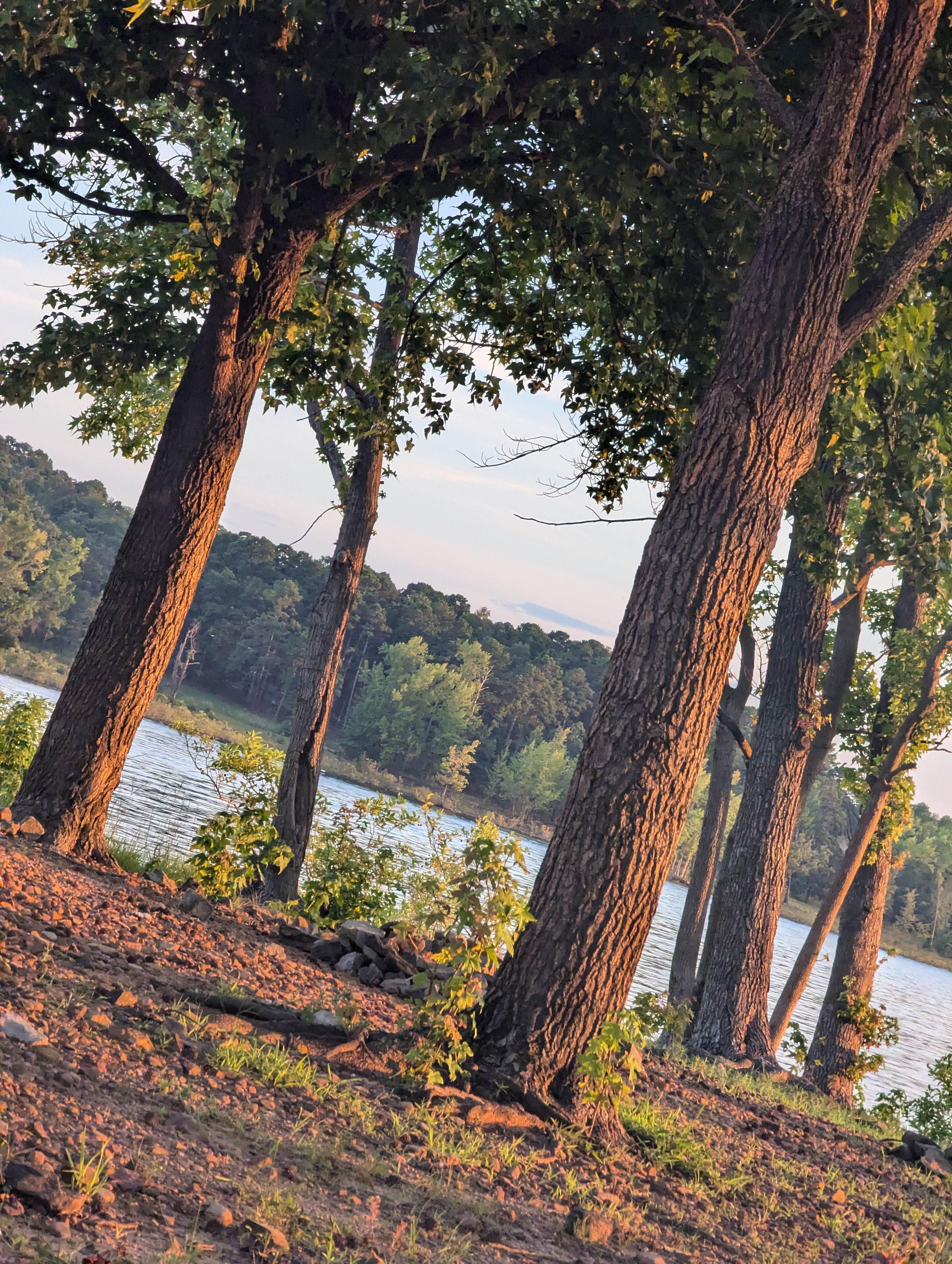 Camper-submitted photo at Devils Fork near Greers Ferry Lake