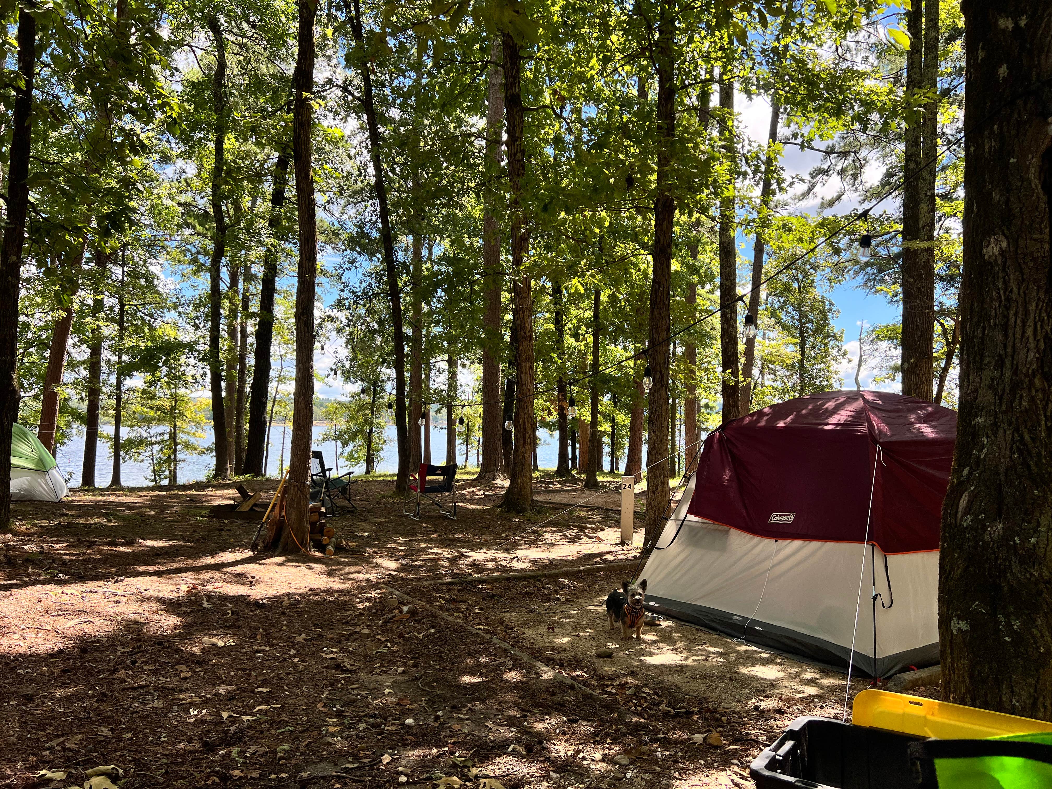 Wendy M.'s photo of camping with pets at Edgewood near Malvern, AR