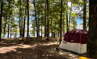Wendy M.'s photo of camping with pets at Edgewood near Murfreesboro, AR