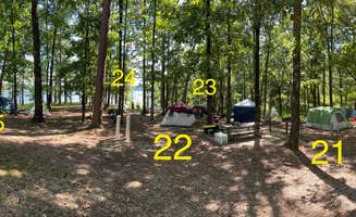 Wendy M.'s photo at Edgewood near Chidester, AR