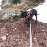 Review photo of Gulpha Gorge Campground — Hot Springs National Park by Jim M., February 4, 2026