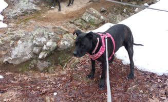 Jim M.'s photo of camping with pets at Gulpha Gorge Campground — Hot Springs National Park near Paron, AR