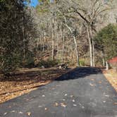 Review photo of Gulpha Gorge Campground — Hot Springs National Park by Kristi D., December 8, 2023