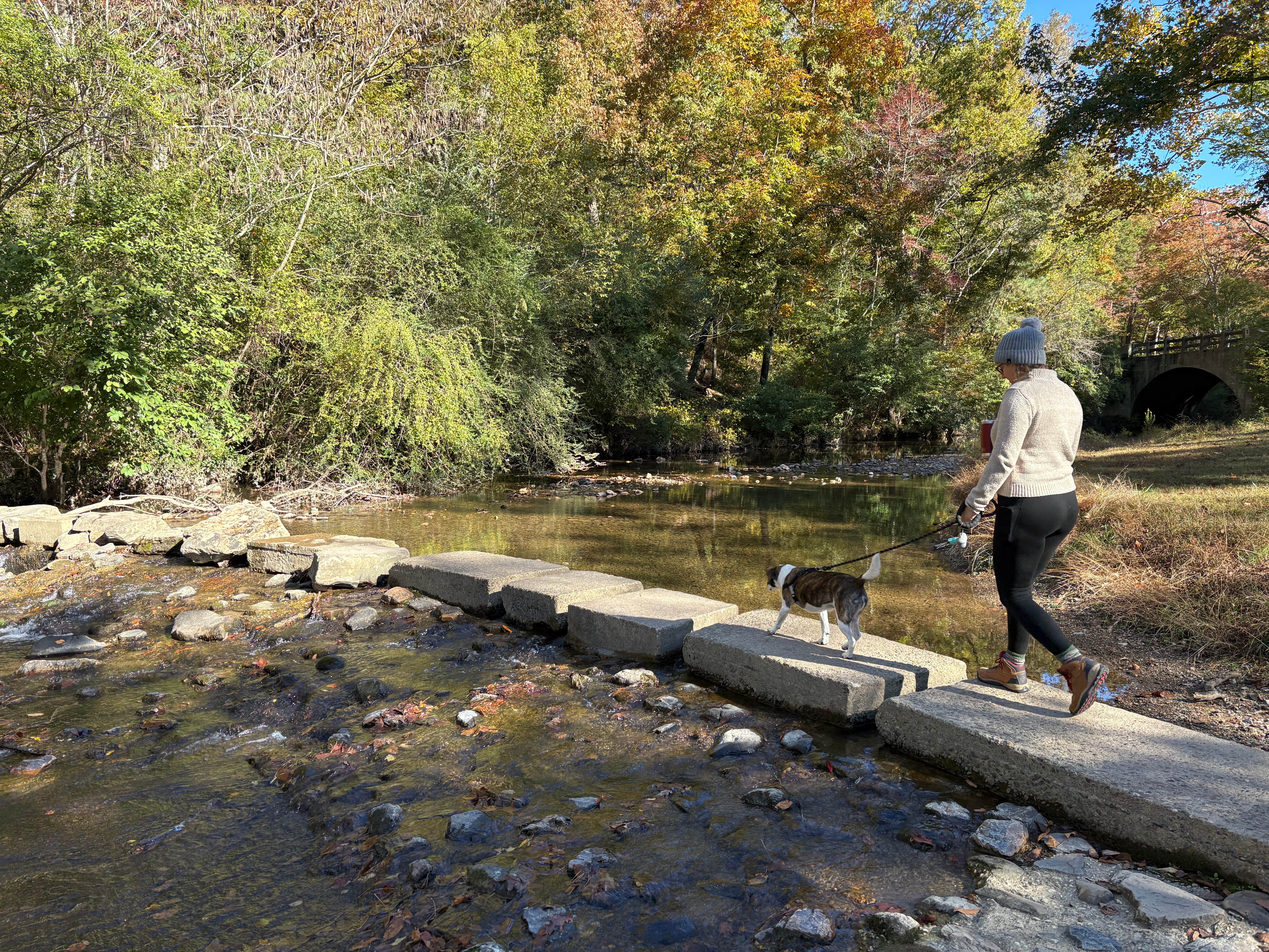 Jason D.'s photo of camping with pets at Gulpha Gorge Campground — Hot Springs National Park near Sweet Home, AR