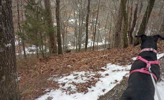 Jim M.'s photo of camping with pets at Gulpha Gorge Campground — Hot Springs National Park near Paron, AR