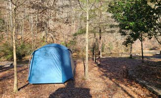 Tori K.'s photo at Gulpha Gorge Campground — Hot Springs National Park near Hot Springs, AR