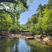 Review photo of Haw Creek Falls Camping by Kimberly P., July 26, 2026