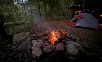 Ainsley P.'s photo of tent camping at Haw Creek Falls Camping near Combs, AR