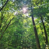 Review photo of Haw Creek Falls Camping by Kimberly P., July 26, 2026
