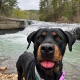 Review photo of Haw Creek Falls Camping by Lydia Y., September 18, 2023