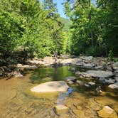 Review photo of Haw Creek Falls Camping by Kimberly P., July 26, 2026