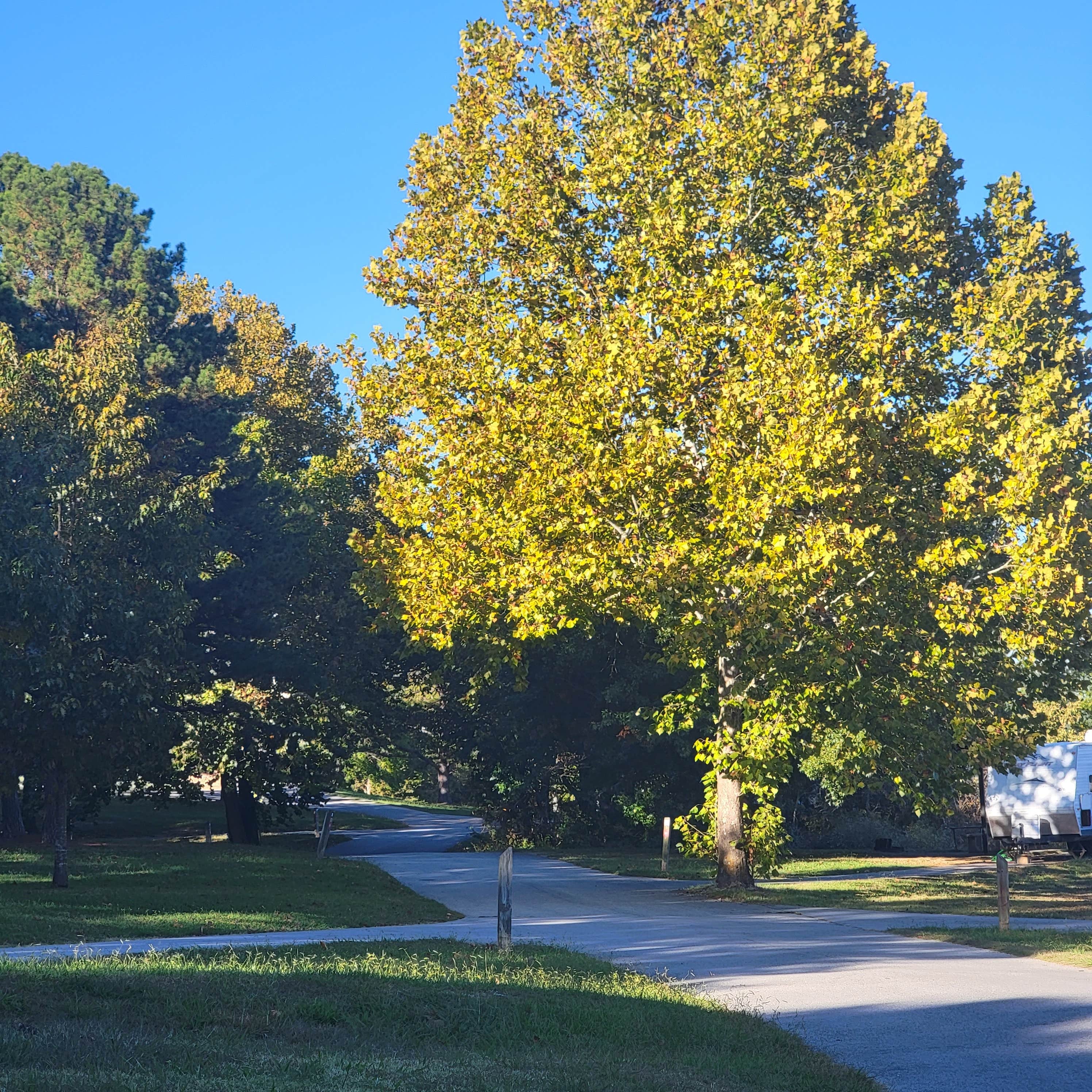 Camper-submitted photo at Hickory Creek - Beaver Lake near Johnson, AR