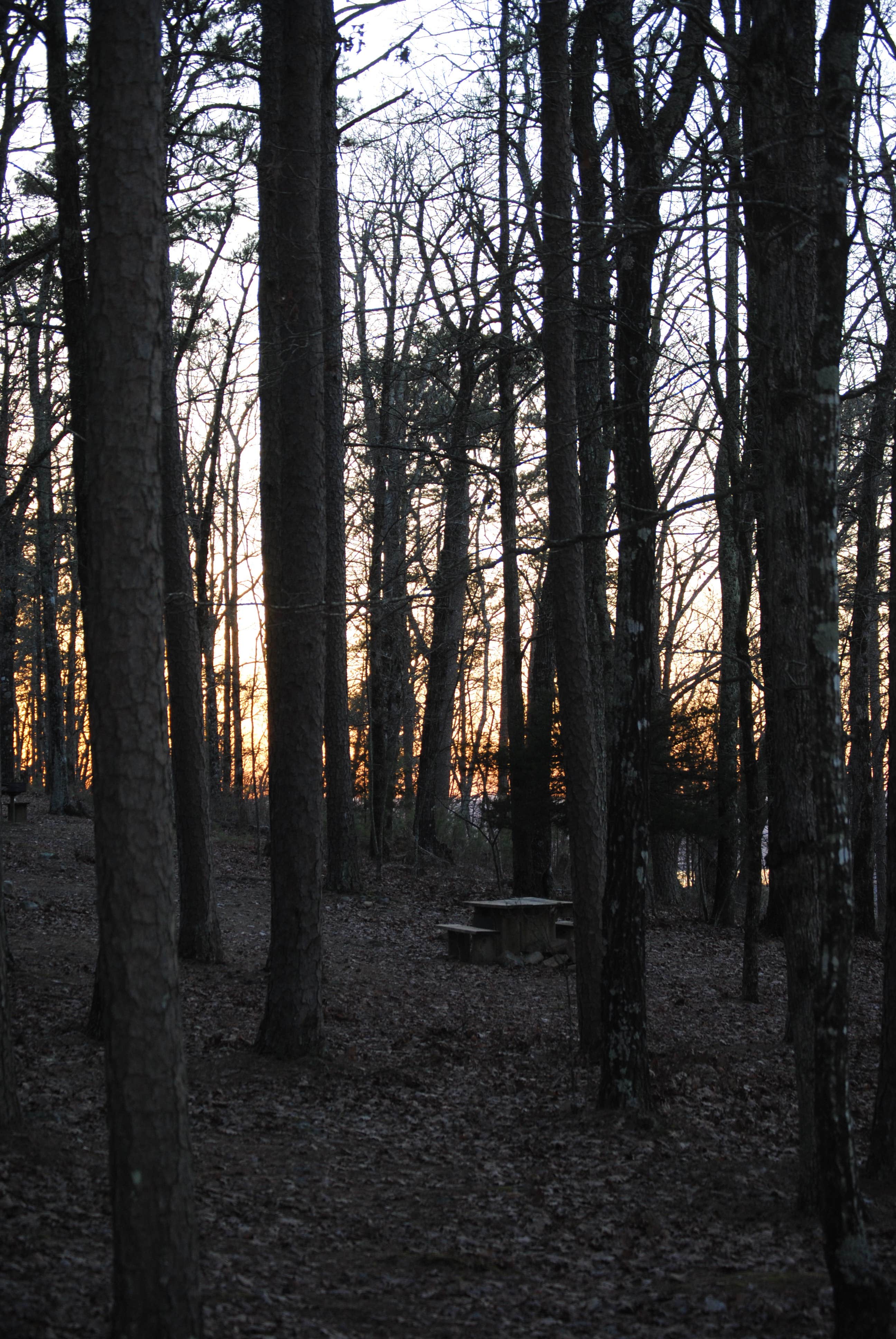 Camper submitted image from Hickory Nut Mountain - 4
