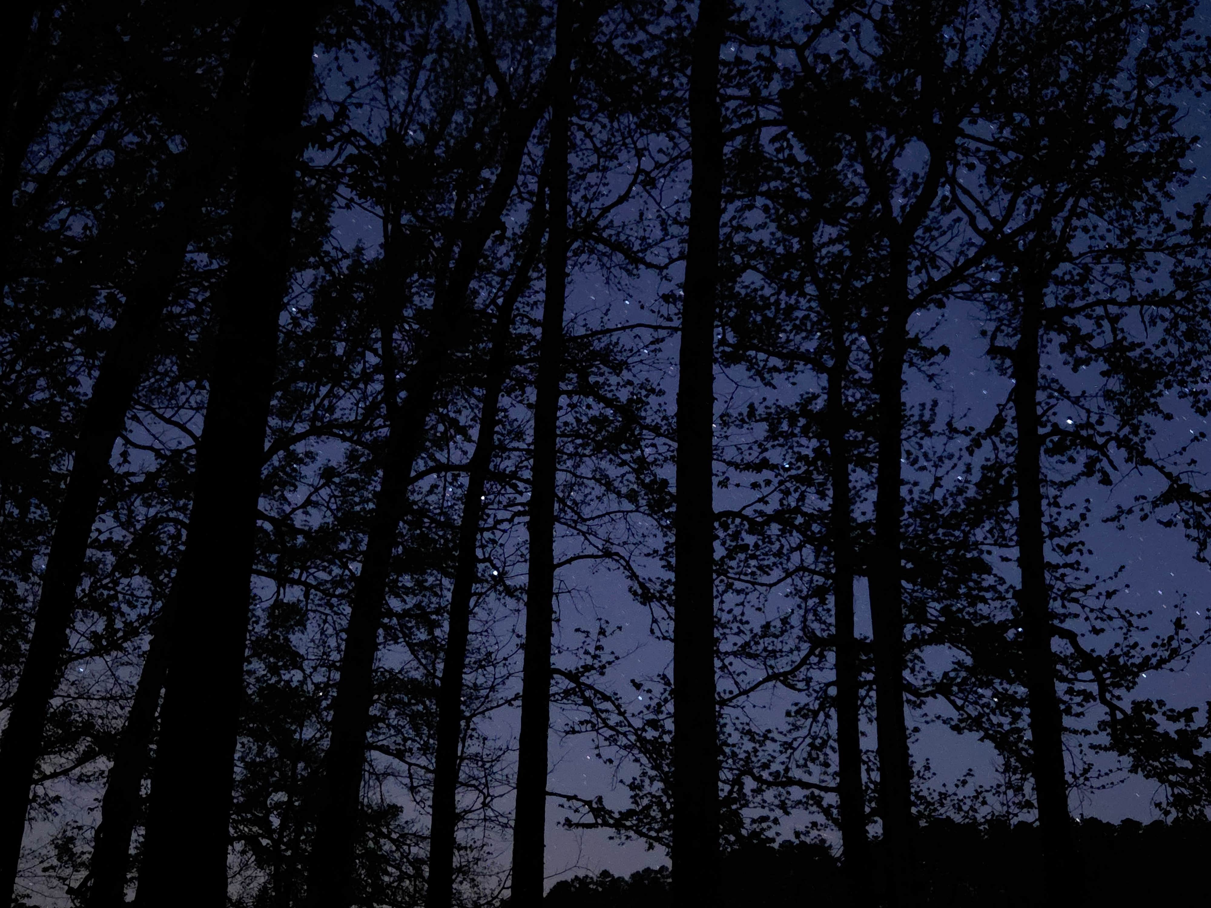 Camping near Cedar Fourche Campground: Irons Fork Primitive Camping, Ouachita Lake, Arkansas