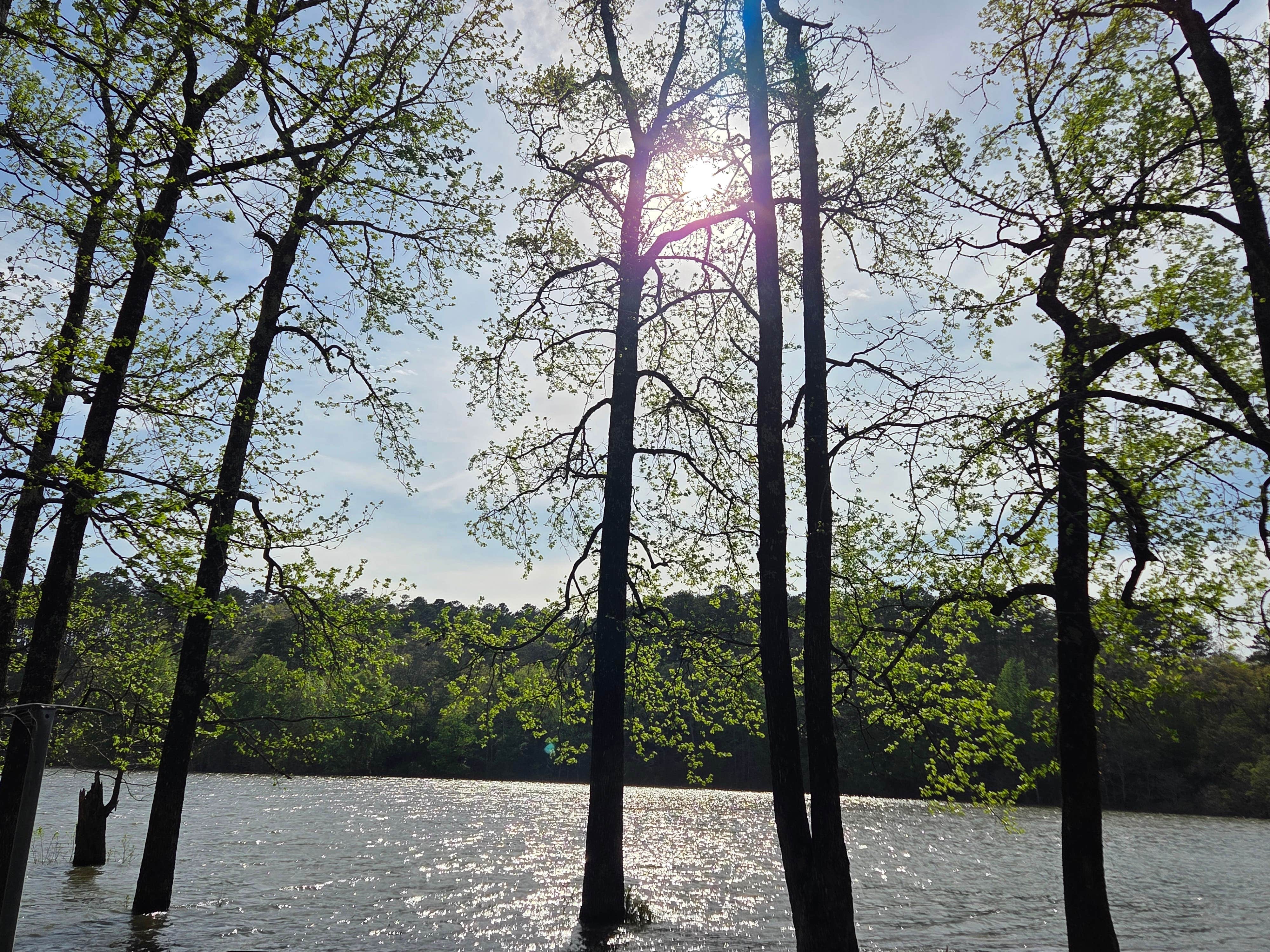 Camper-submitted photo at Irons Fork Primitive Camping near Royal, AR