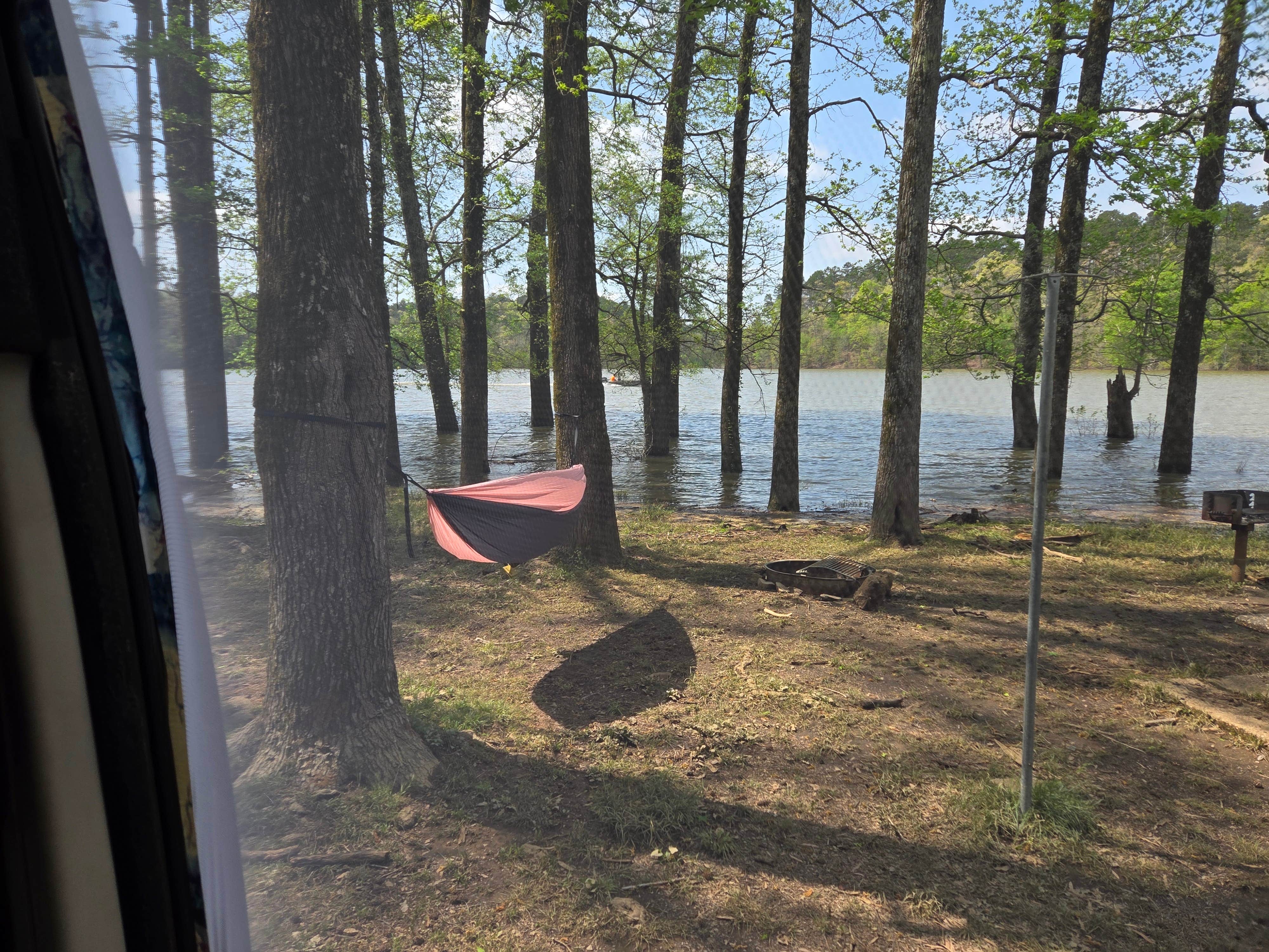 Camper-submitted photo at Irons Fork Primitive Camping near Royal, AR