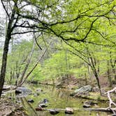 Review photo of Lake Catherine State Park Campground by Jennifer O., April 7, 2024