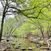 Review photo of Lake Catherine State Park Campground by Jennifer O., April 7, 2024