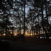 Review photo of Lake Catherine State Park Campground by Emerson F., November 27, 2023