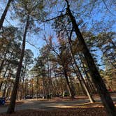 Review photo of Lake Catherine State Park Campground by Emerson F., November 27, 2023