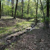 Review photo of Lake Catherine State Park Campground by Travis J., April 12, 2024