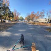 Review photo of Russellville Campground — Lake Dardanelle State Park by Alexandra , November 23, 2023