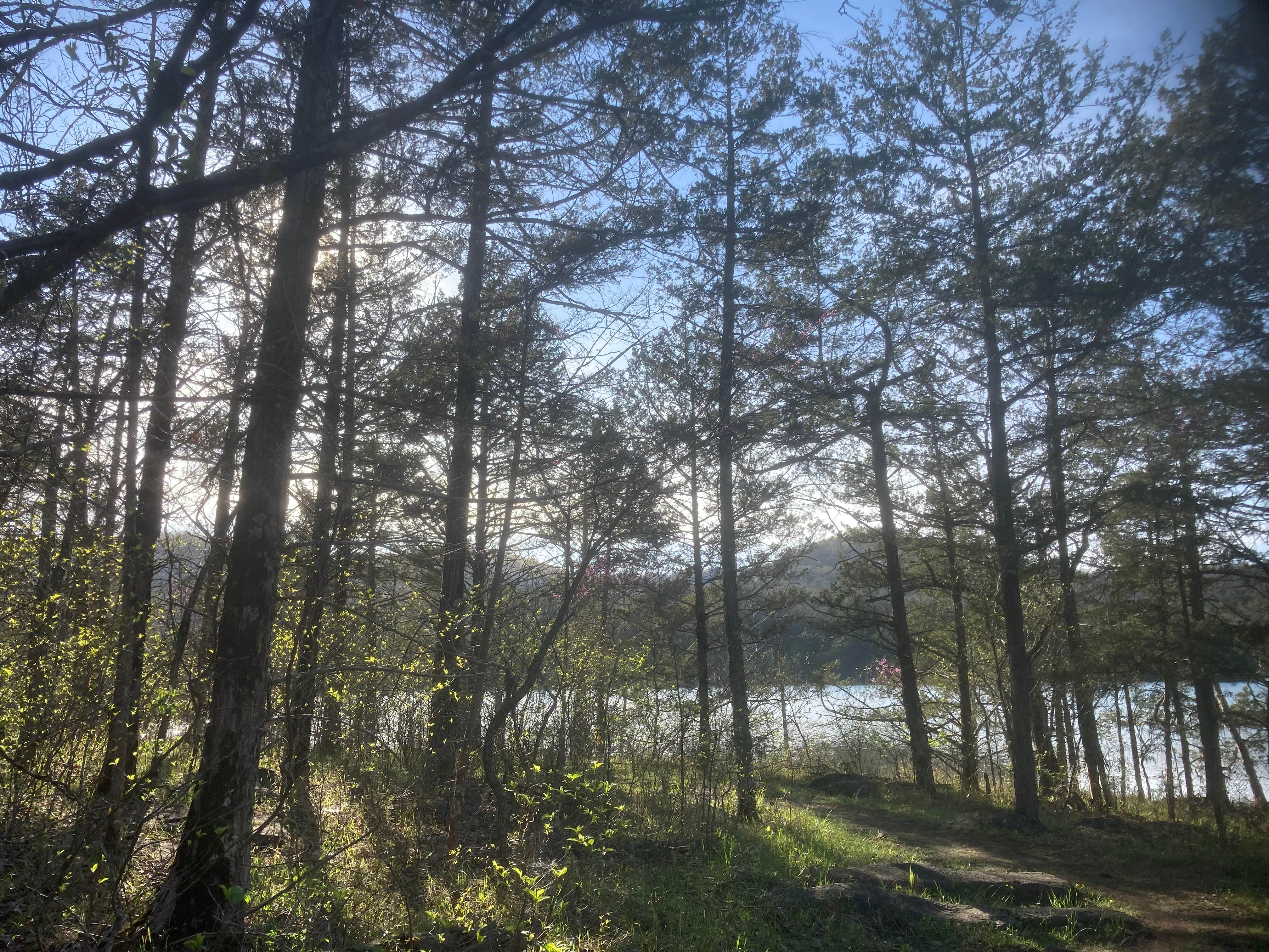 Camper-submitted photo at Lake Leatherwood City Park near Beaver Lake