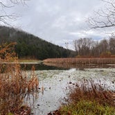Review photo of Lake Leatherwood City Park by Peyton S., November 28, 2023