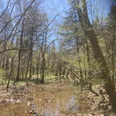 Review photo of Lake Leatherwood City Park by Lucy P., April 8, 2024