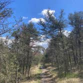 Review photo of Lake Leatherwood City Park by Lucy P., April 8, 2024