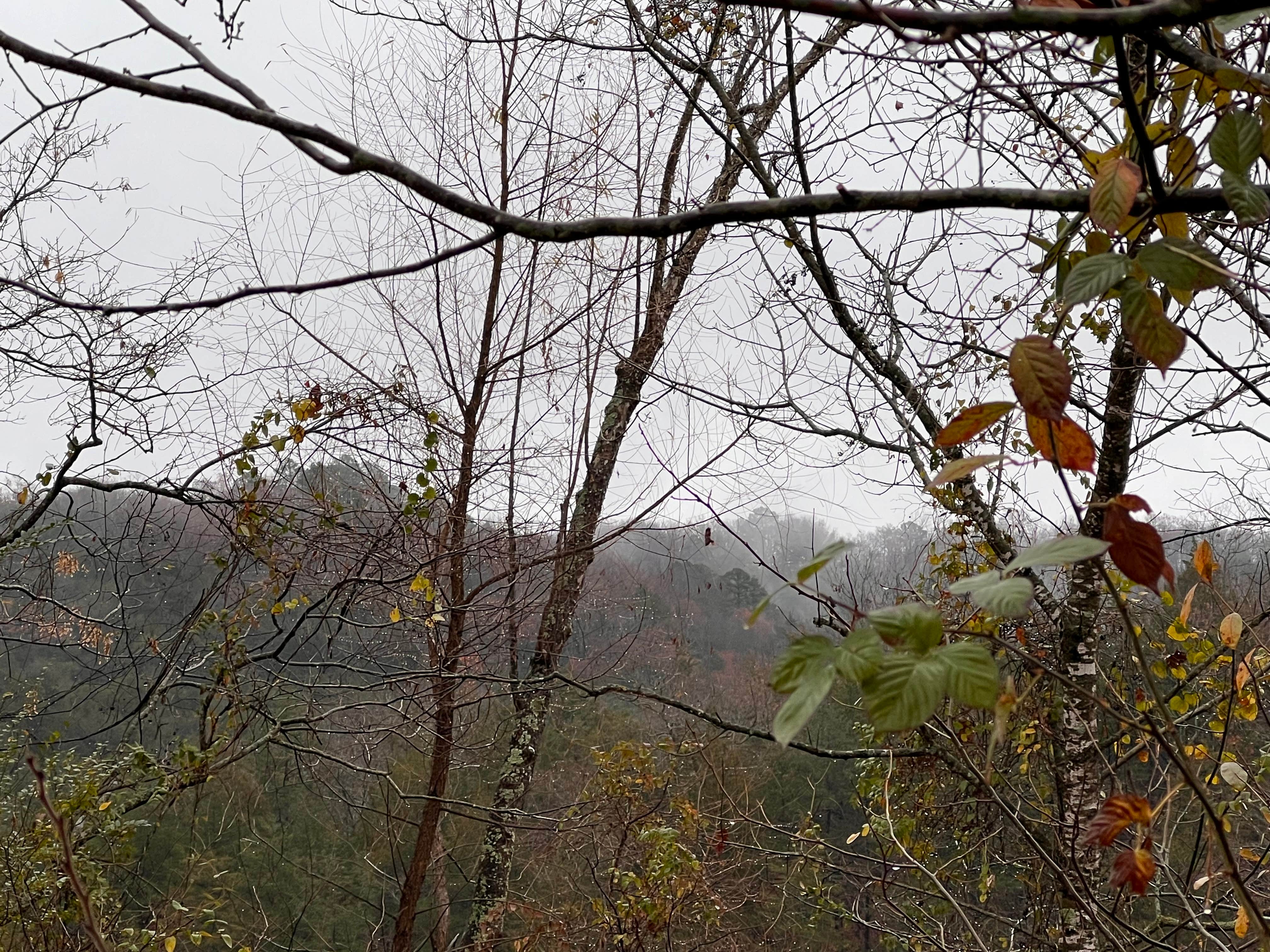 Camper-submitted photo at Lake Leatherwood City Park near Beaver Lake