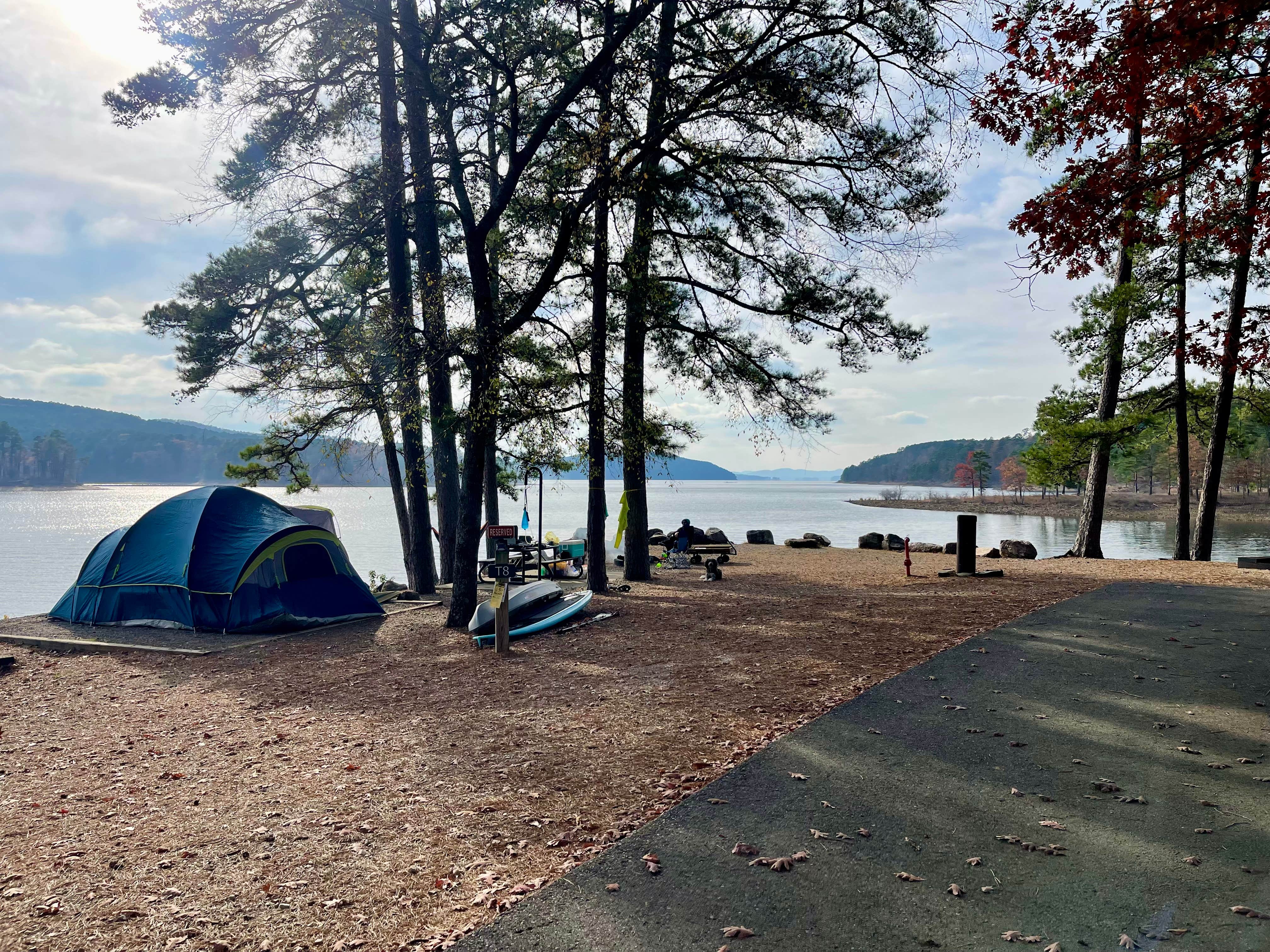 Taylor C.'s photo of camping with pets at Lake Ouachita State Park Campground near Malvern, AR