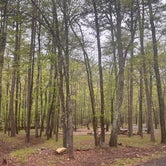 Review photo of Lake Sylvia Recreation Area by Mark G., April 10, 2024