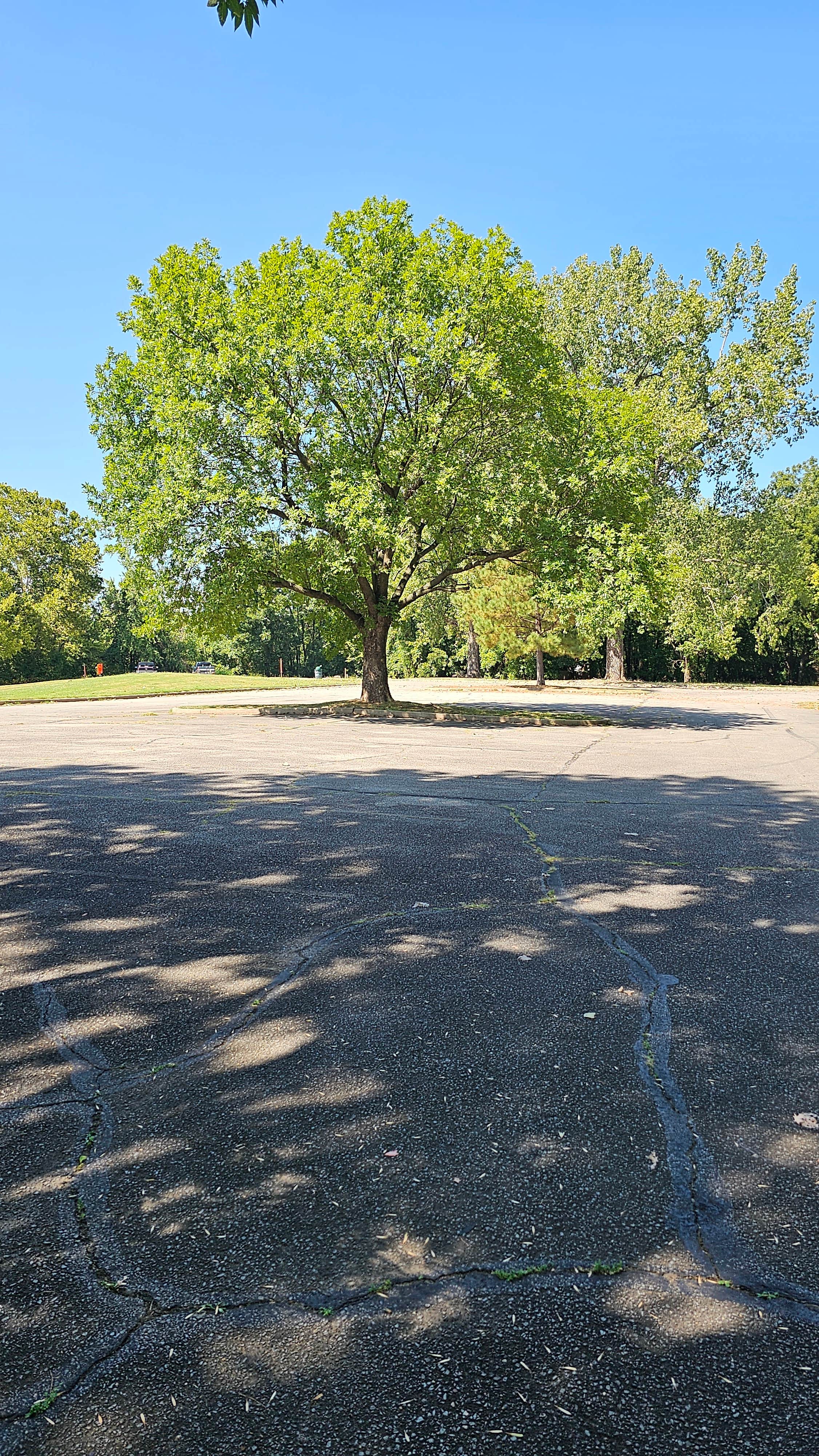 Camper-submitted photo at Lee Creek Public Use Area near Van Buren, AR